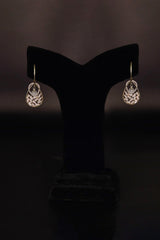Hollow Design Crystal Drop Earrings